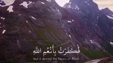تلاوه تريح القلب للقارئ إسلام صبحي وضرب الله مثلا قرية كانت آمنة مطمئنة يأتيها رزقها رغدًا 🌴🌷❤️