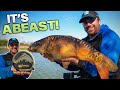 Long Pole Fishing For Double Figure Carp Won Me £30,000
