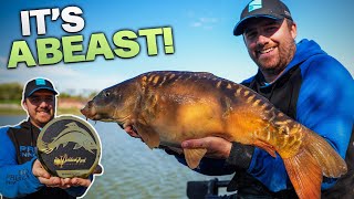 Long Pole Fishing For Double Figure Carp Won Me £30,000
