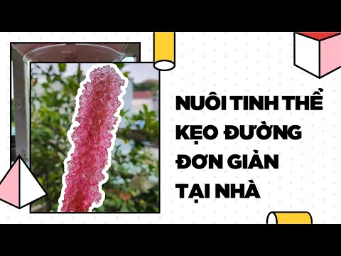 Video: Cách Trồng Tinh Thể Từ đường