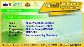 M.Sc. Project/Dissertation