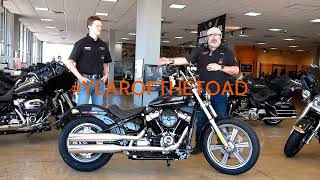 2024 Softail Standard with Bo!