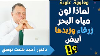 لماذا لون مياه البحر زرقاء وزبدها أبيض