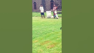 cutting grass by machine #gardening #grass #scenery