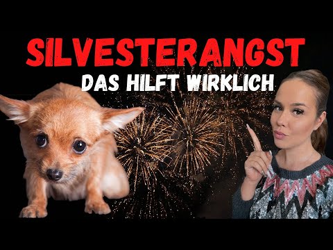 Video: Sind humane oder nicht verschreibungspflichtige Online-Antibiotika für Hunde sicher?