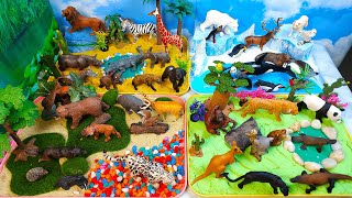 HUGE Animal Diorama- 4 habitat-African Polar Forest and Exotic animals-Learn animal names