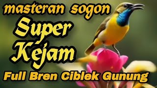 Download Lagu SUPER KEJAM📍MASTERANSOGON FULL ISIAN BREN CIBLEK GUNUNG#sogon #sogokontong MP3 Download Lagu SUPER KEJAM📍MASTERANSOGON FULL ISIAN BREN CIBLEK GUNUNG#sogon #sogokontong MP3
