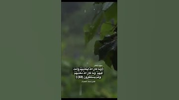 (وما كان الله معذبهم وهم يستغفرون) #تلاوة_خاشعة #قرآن #تلاوات #محمد_اللحيدان #quran #آيات #الاستغفار