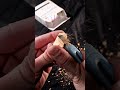 ASMR Chalk Breaking & Cutting 🤍 #asmr #chalkasmr