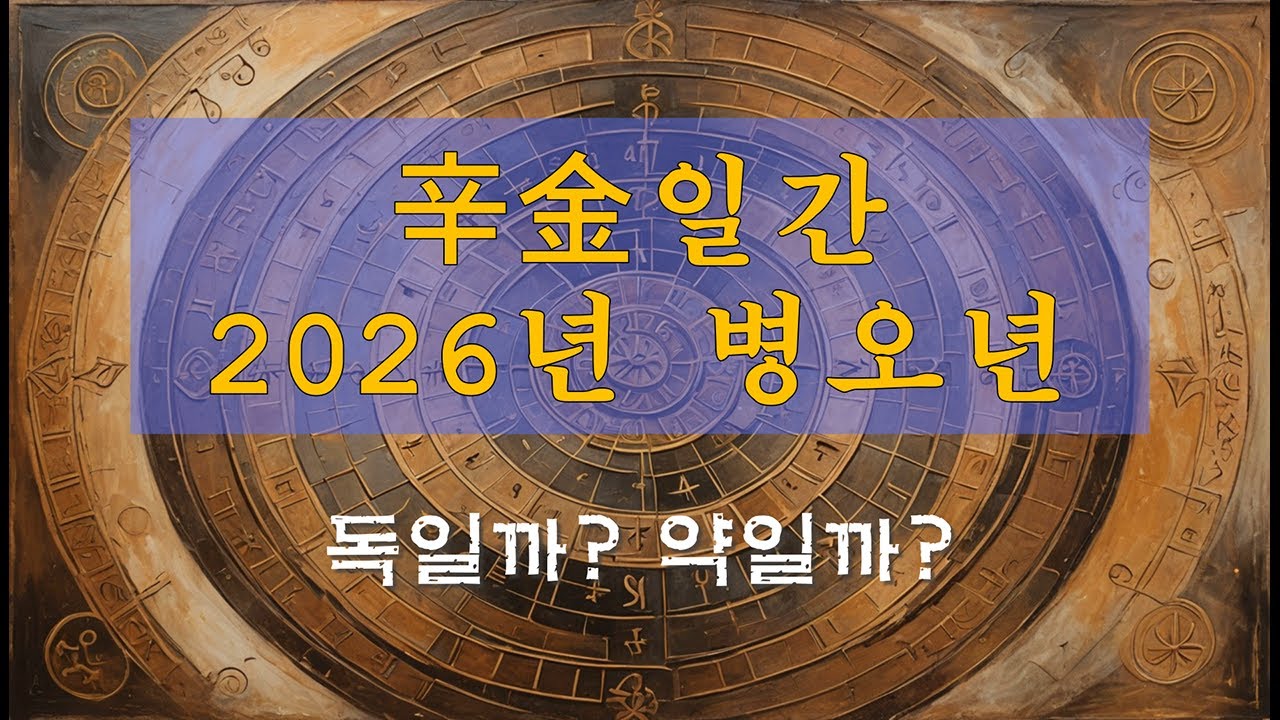 [사주] 신금일간 병오년 운세, 2026년 운세. 사주 보러 안가도 됩니다