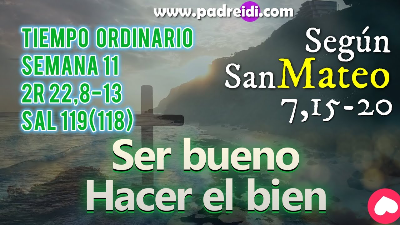 junio-26-evangelio-seg-n-san-mateo-7-15-20-ser-bueno-y-hacer-el-bien