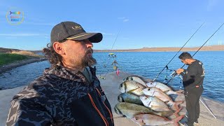 Çeşmede Kıyıdan ,Tekne Ile Balık Avına Gitmiş Gibi Balıklar Yakaladık . Çupralar Mercanlar .