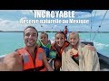 72H de voyage au Mexique avec les enfants (et les dauphins) 🇲🇽👨‍👩‍👧‍👦🌴 [Vlog Family Coste]