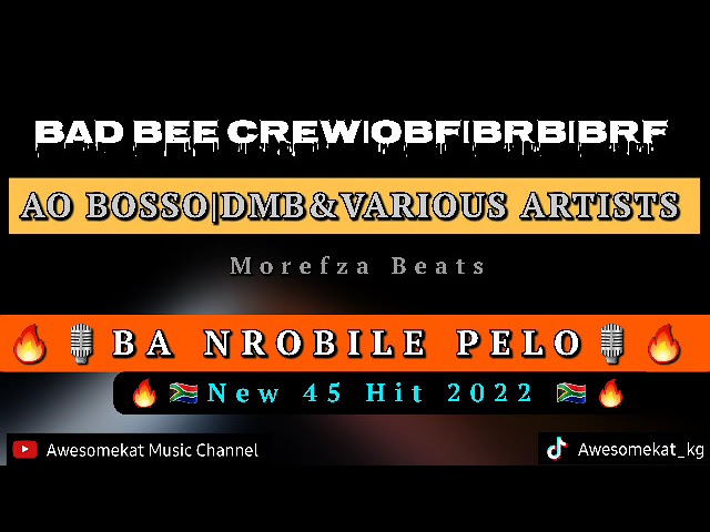 Bad Bee Crew|OBF|BRB|BRF|AO BOSSO MUSIC|DMB&Various Artists_Ba nrobile pelo(New 45 Hit)_Morefza class=