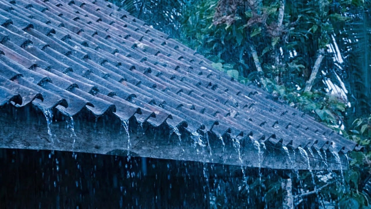Regardez “RELAXING RAIN AMBIENCE FOR DEEP SLEEP — Calm Your Mind, Reduce Stress, and Fall Asleep Fast” sur YouTube Regardez “RELAXING RAIN AMBIENCE FOR DEEP SLEEP — Calm Your Mind, Reduce Stress, and Fall Asleep Fast” sur YouTube