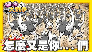 "Zheping" The Battle Cats Mobile Game From Scratch Series - Path to Legend Stages!! Journey Conti... screenshot 3