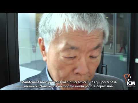 Pr Susumu Tonegawa : la mémoire cellulaire