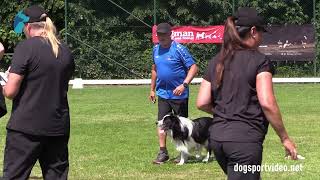 Qualifications – Eddy De Ceuster + Tiêsto Mystequalbrain / Border Collie – BELGIQUE