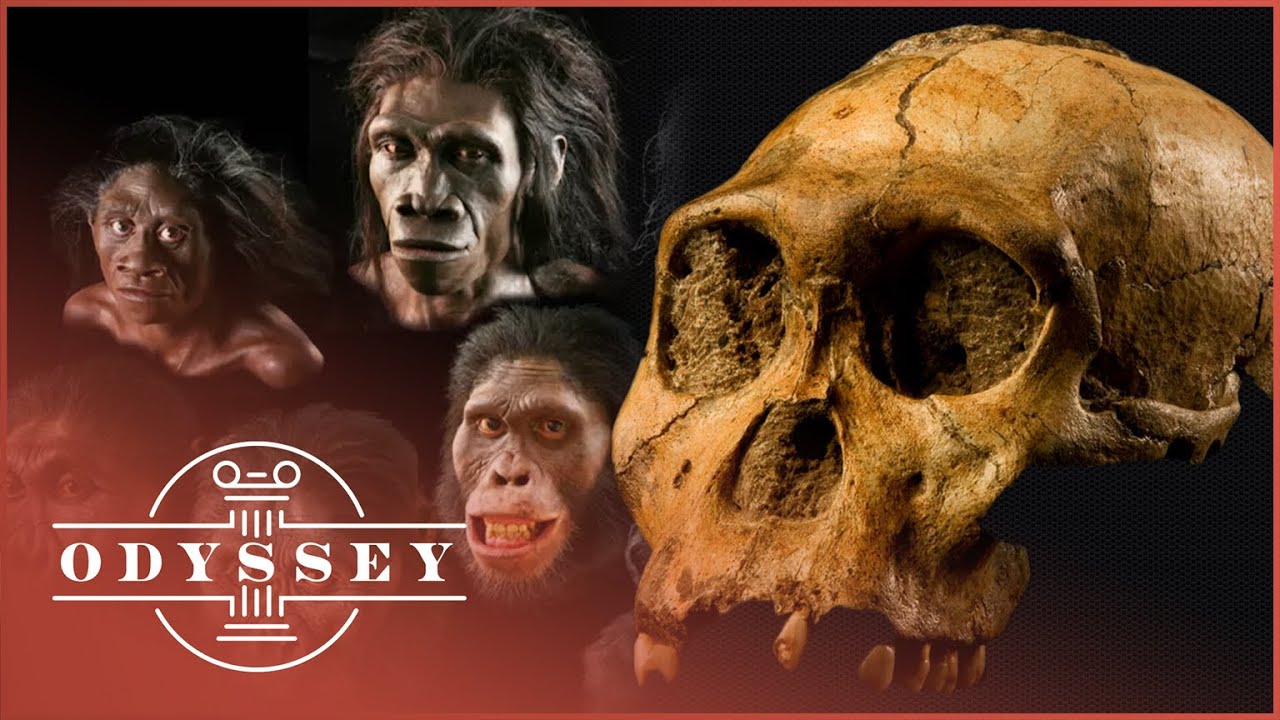 The Mystery Of The Two-Million-Year-Old Human Remains | The Mystery Of Our Ancestors | Odyssey