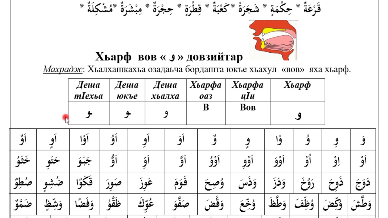 Арабский с нуля самостоятельно в домашних. Обучение чтению Корана с нуля. Изучение арабских букв для чтения Корана. Как научиться читать Коран.