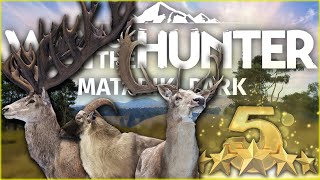 We Found FIVE 5 Star Matariki Park Trophies In Under 24 Hours! Way of the hunter