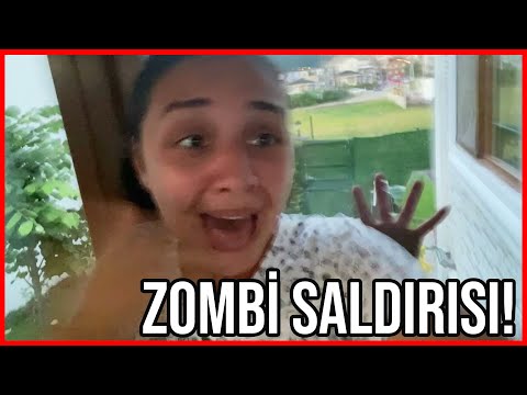 ZOMBİ SALDIRISI **BAHÇEDE YABANCI VAR, KÖPEĞİMİZİ KAÇIRDI!** Dobişko Tv