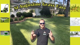 St. Augustine Grass Care | Fertilization | Mowing | Watering | All In One Guide