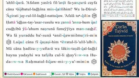 ختمة من مصحف التجويد باللغة الإسبانية الصفحة رقم 248