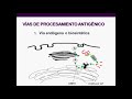 Introducción a la inmunología humana - Clase 6: PROCESAMIENTO ANTIGÉNICO, CÉLULAS DENDRÍTICAS