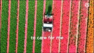 Crispian St. Peters - Willingly