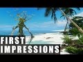 Wander MMO Gameplay | First Impressions HD