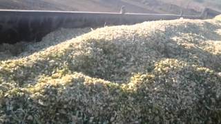 Silage trailer unloading