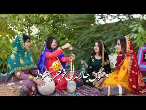 علی موسی زاده دختون حالا حفله بندرعباس هیش    