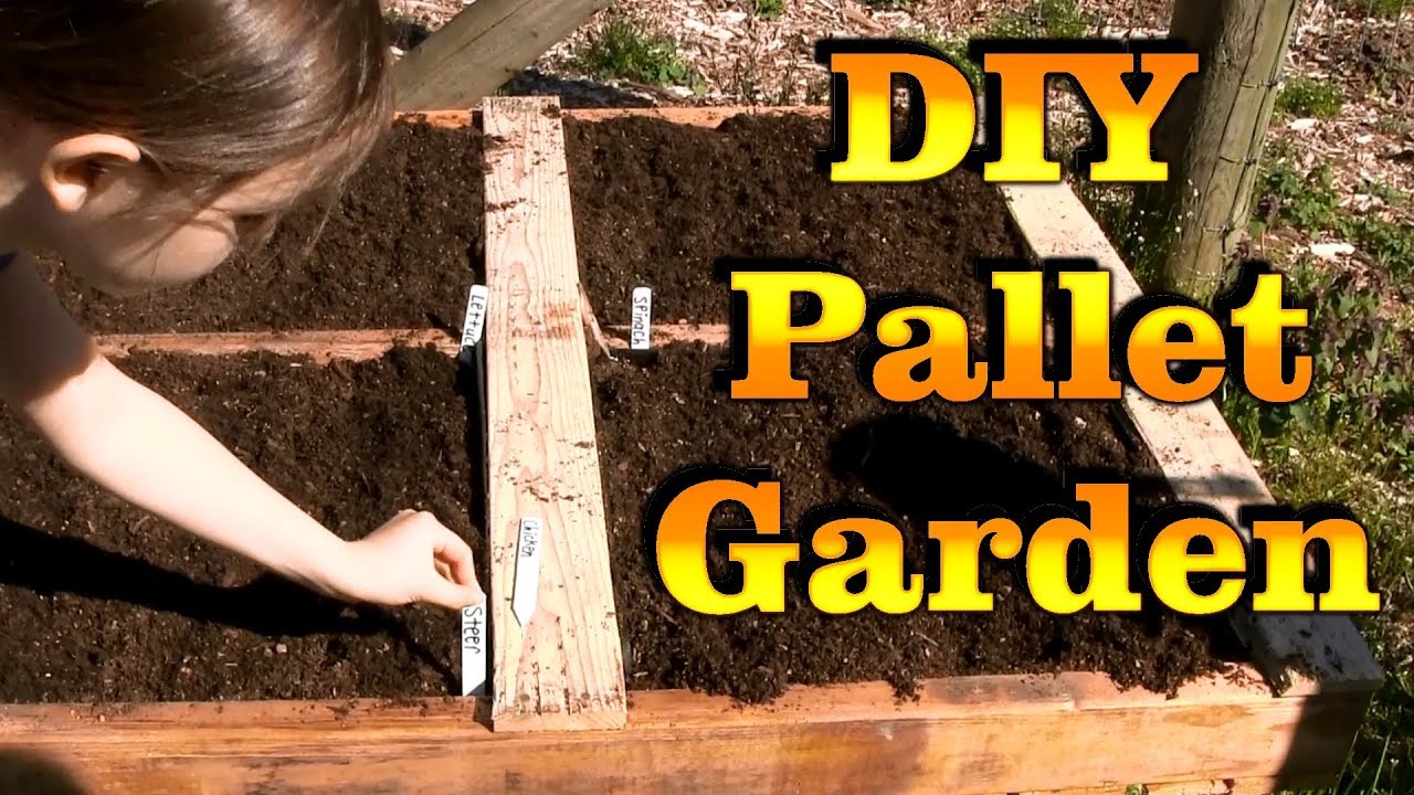 DIY Raised Pallet Garden Box Chicken Vs. Steer Manure YouTube
