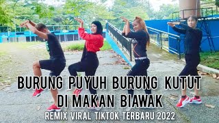 DJ BURUNG PUYUH BURUNG KUTUT DIMAKAN BIAWAK