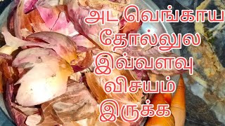 இனி வெங்காய தோலை தூக்கி போட மாட்டீங்க /  beauty tips in Tamil / Hair Tips in Tamil