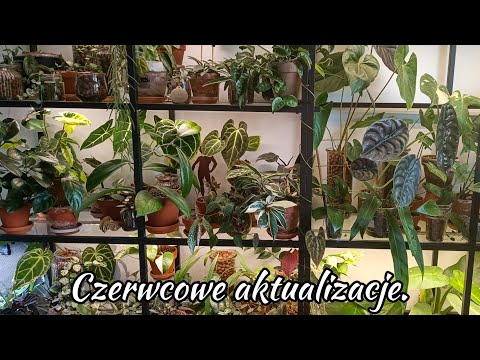 Jak wygląda regał