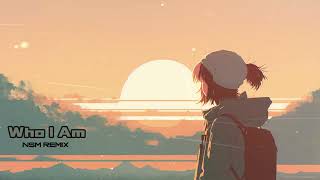 Alan Walker,  Putri Ariani, Peder Elias - Who I Am | NSM Remix | 4k Video