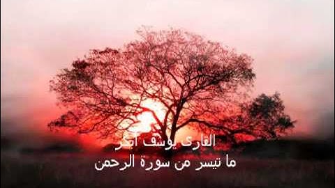 القارئ يوسف أبكر -  تلاوة رائعة من سورة الرحمن