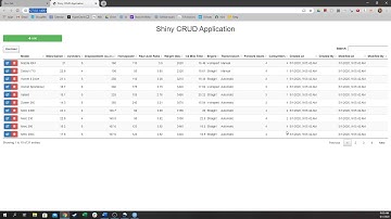 Simple R Shiny CRUD database app