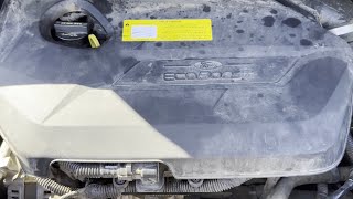 2015 Ford Escape 1.6 Ecoboost engine rattle noise #enginenoise