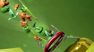 Baidyanath Rhuma Oil