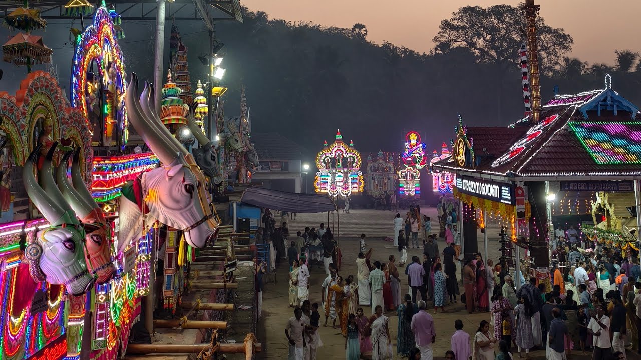 Pariyanampatta Pooram 2025 | വെളുപ്പിനെ വരെ നീണ്ട് നിന്ന കാള വരവ്