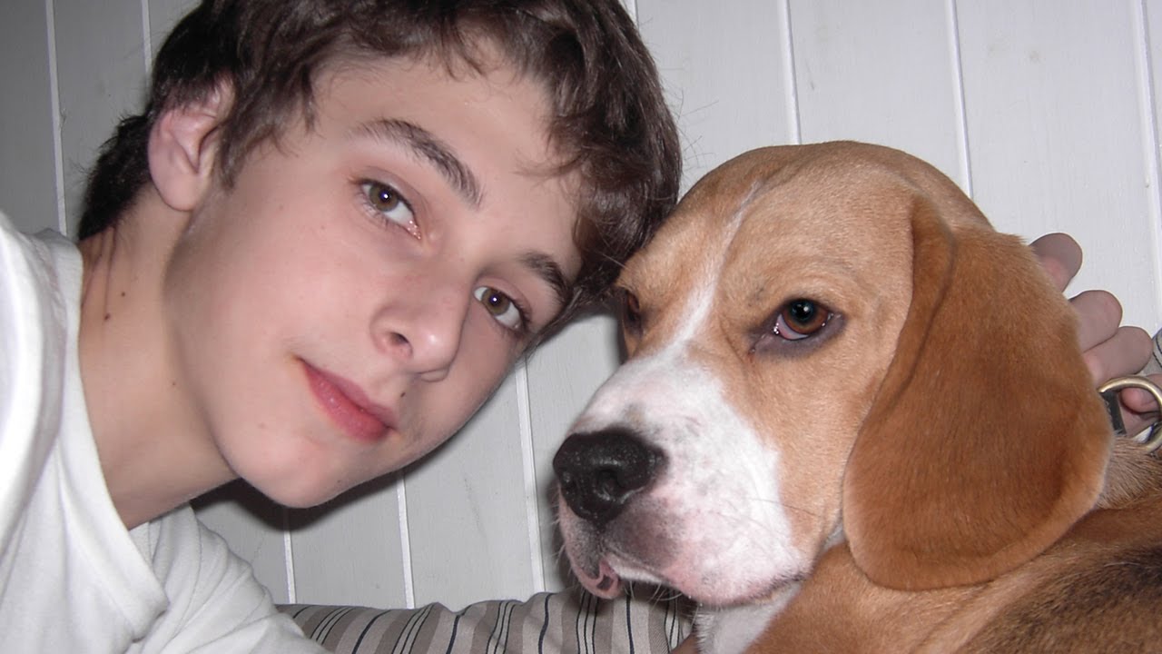 The Life of a Dog Called Basil YouTube