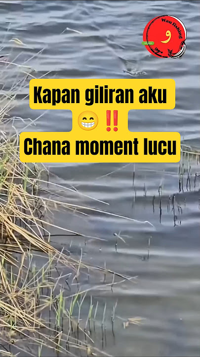 Kapan Giliran Aku 😁‼️ chana moment lucu #fishing