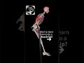 KIPPING MUSCLE-UP tIt's one of the most popular calisthenics skills that traineesfrom many sports
