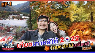 วางแผนเที่ยวเกาหลี 🇰🇷 ดูจบไปได้แน่นอน | ตามหาใบไม้เปลี่ยนสี | เที่ยวโซล Seoul EP.1/5