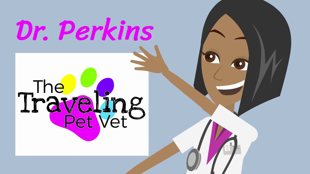 The Traveling Pet Vet YouTube