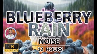 Soothing Blueberry Rain Noise | 12 Hours BLACK SCREEN | Study, Sleep, Tinnitus Relief & Focus
