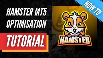 Hamster Scalping MT5 Optimization Tutorial / Guide
